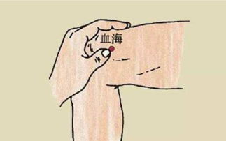 一、 定穴法点穴包括两大部分：一是穴场，二是穴位