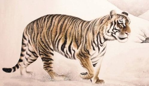 虎年出生者：冲动与沉淀的反思