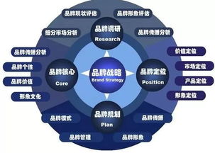 借鉴成功案例