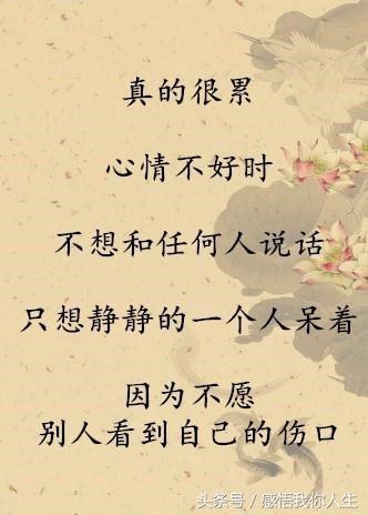 揭开真相：诅咒与消失之间的联系