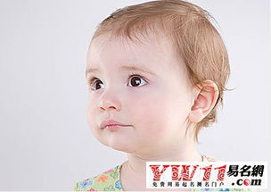 林姓虎宝宝男孩名字改写为：虎仔起名大全中，有没有适合林姓男孩的名字？