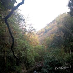 泰顺风景区：一个让人又爱又恨的地方