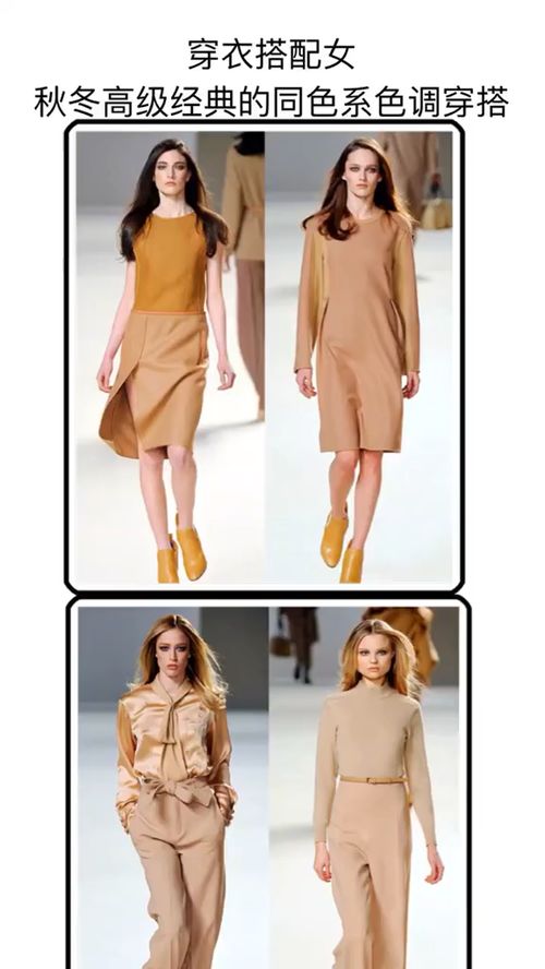 今天根据五行色查询，我应该穿什么颜色的衣服呢？