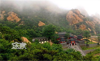 门票价格比过山车还刺激