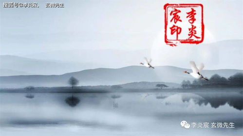 职业选择：稳健务实的生涯规划