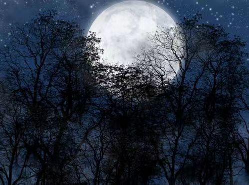 夜读古诗时有没有会有鬼影相伴，随行左右？——一部生肖星座或风水类国学类原创文章