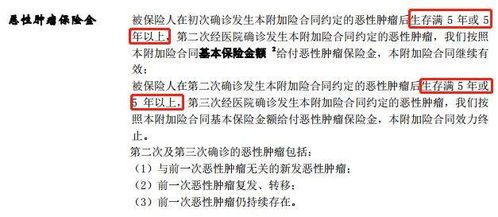 四、 命运可逆性的理论阐释与实践启示
