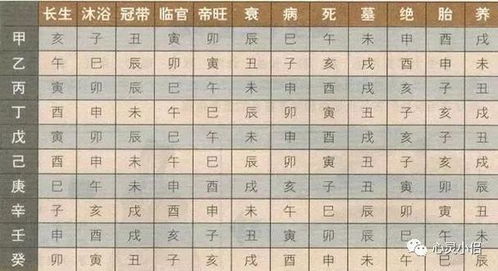 2026年财运预测真的准确吗？测测2026年财运如何？