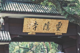 关于武汉灵隐寺禅修活动的投入成本构成与灵性实际价值之较深度解析报告