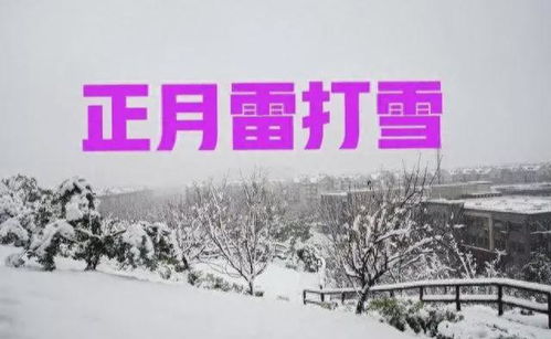 四、  十二月雪电期间的现实因素防范