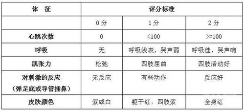 探究背景与问题定义