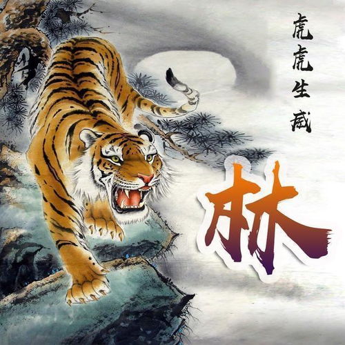 1. 星辰大海
