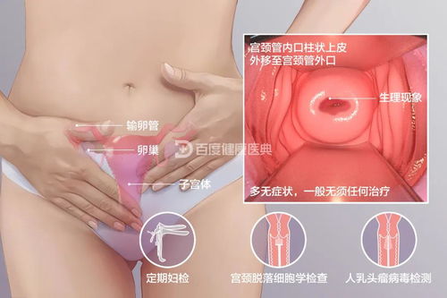 2. 精准诊断：告别误诊和漏诊