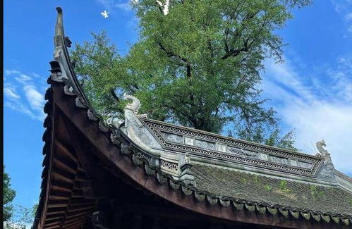 探寻江南名刹与宗教信仰遗迹较深层实际价值评析