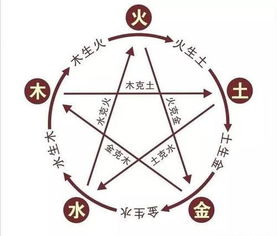 大小与阴阳的相互映照