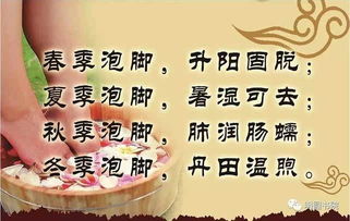 三伏天中医养生：防寒固本， 方能顺应天时