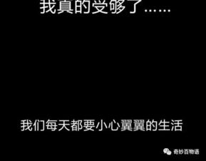 二、 语言层面的繁杂化策略