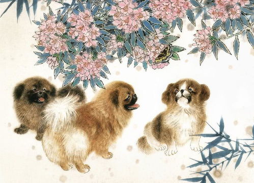 ：婚姻稳固性的与生肖文化的深层透视