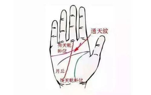 事业线的起源与哲学意蕴