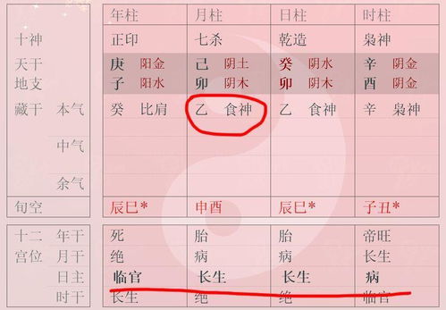 八字单令与得令有何区别？五道令与三道令有哪些不同之处？