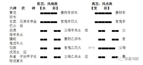 案例分析：二舅的悲惨经历
