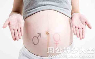 梦见孕妇大肚子是什么预兆或象征？周公解梦有何解释？