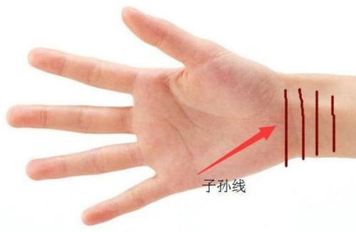 二、 更多线格局对财富有与事业的指示意义