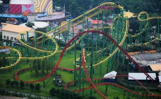 欢乐谷尖叫到失声也是一种解脱