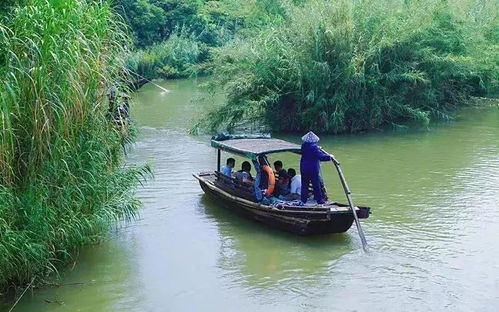 差异化预訂建议