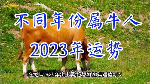 1月：初春的春光与“天相”之恩惠