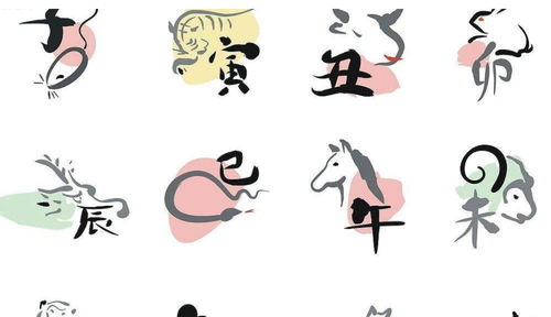 传统文化语境下的生肖运势：一种精神寄托