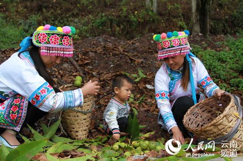 不同人群的噩梦预警