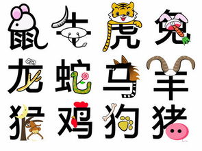 十二生肖每日财运如何，如何查询发财运势？