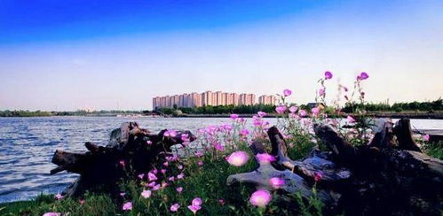 设施破得像末日片场 2026年恐将彻底报废