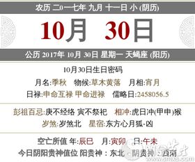 11月9日是哪一天的传统节日或特殊日子？