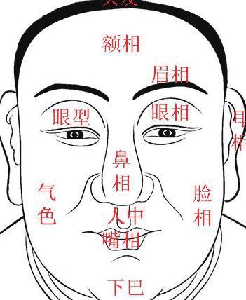 田宅宫饱满：运势与进取心的象征