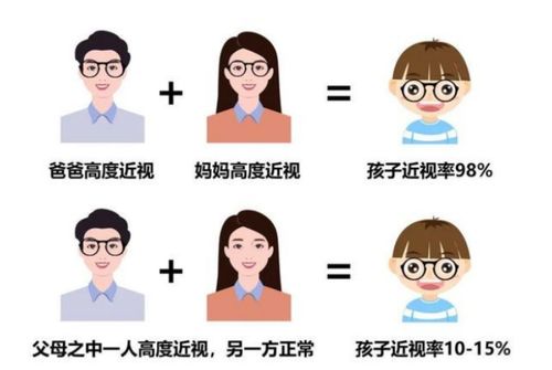 遗传与发育决定的面部结构