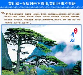 黄山门票预订优惠：一场被忽视的省钱游戏