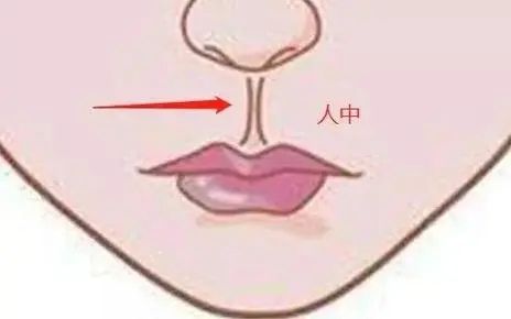 ：面相学视域下的“奸门”及其学术定位