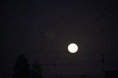 寂静之夜的反常现象：预兆般的氛围渲染