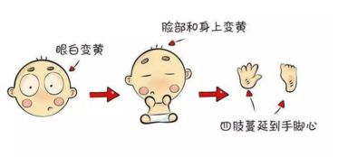 五、与疾病或残疾相关的汉字：不要把健康隐喻埋进名字里！