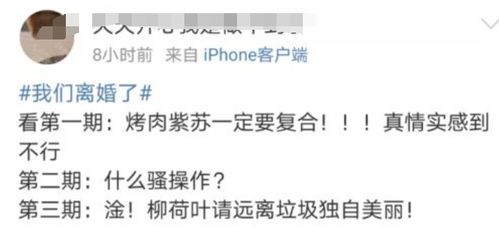 太极双仪——主动从动之间的阴阳转换