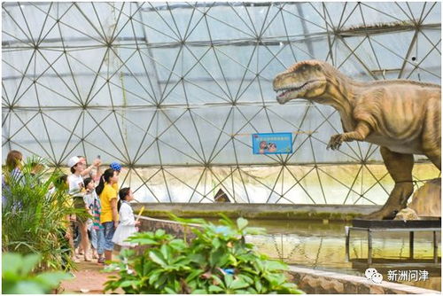 门票价格：简直是天价！还不如去迪士尼！