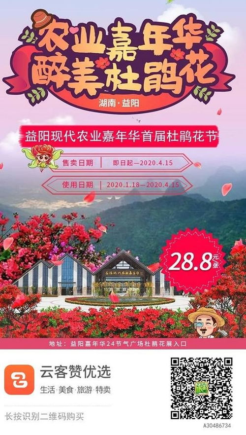 1）活动时间段与地点（乱点点）