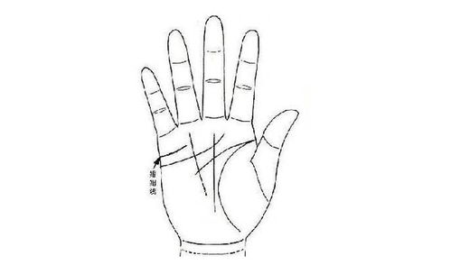 一、 婚姻线数量与形态的判读原则