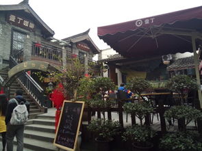 第一天：宽窄巷子里的鸡飞狗跳