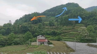 1. 穷人的风水：低成本催旺策略