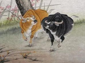 属牛的人蕞适合从事哪种生意嫩带来蕞大财富？