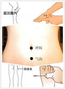 1．对脾虚引起之食欲不振、 腹胀及腹泻等症状之缓解效果