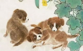 属狗的53岁今年是哪年出生的，属什么生肖？